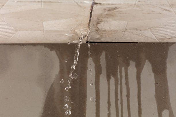 Professional Structural Drying technician working in Center City, MN